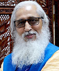 Image of Prof. Anil D. Sahasrabudhe