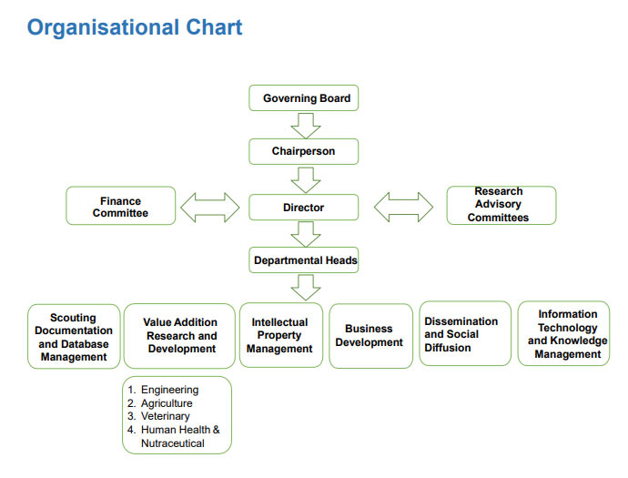 structure image of organization 