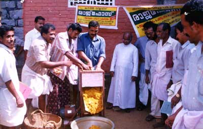 Arrowroot grinding machine - Photo