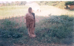 Protection of seedlings of Chilli plant from Gavala - Insect - Photo