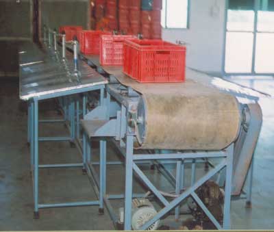 Grading Machine for Raisins - Photo