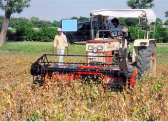 Reaper Windrower with Reel - Photo