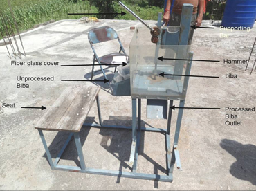 BibaFruit Shelling Machine - Photo