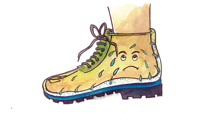 Perspiration absorbing shoe - Photo