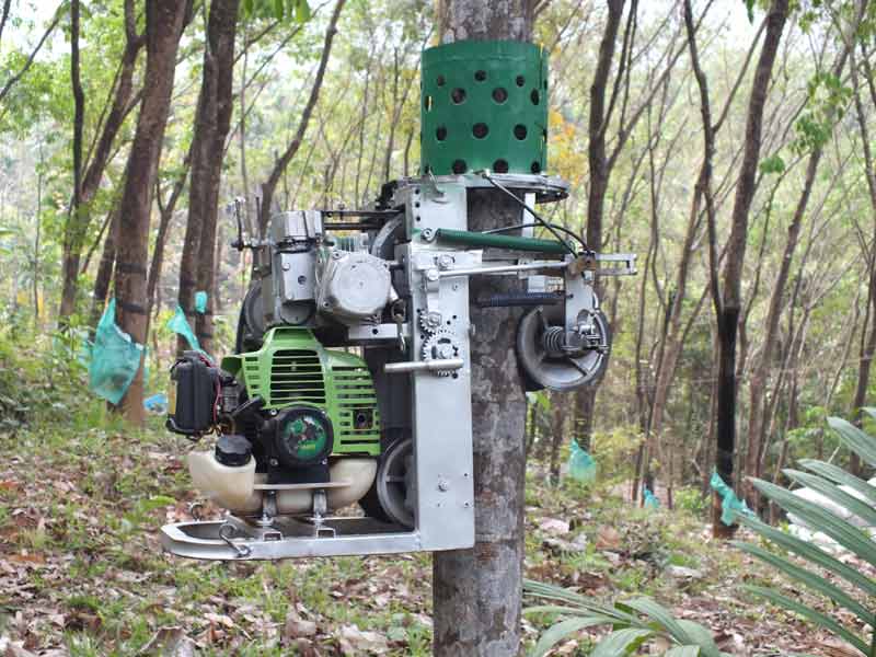 Image of Automated Arecanut Climbing and Harvesting Machine