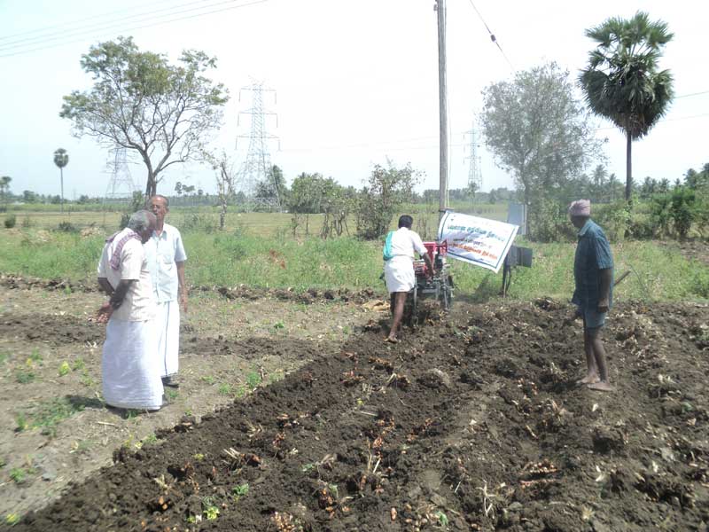 Image of Turmeric Harvester