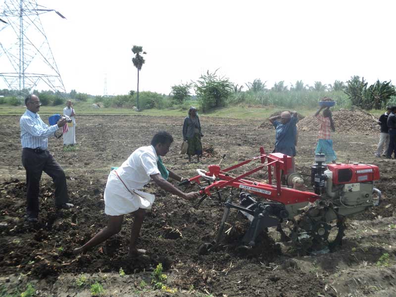 Image of Turmeric Harvester