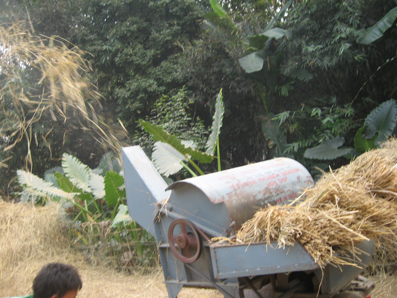 Image of Low Cost Paddy Thresher