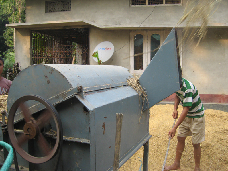Image of Low Cost Paddy Thresher